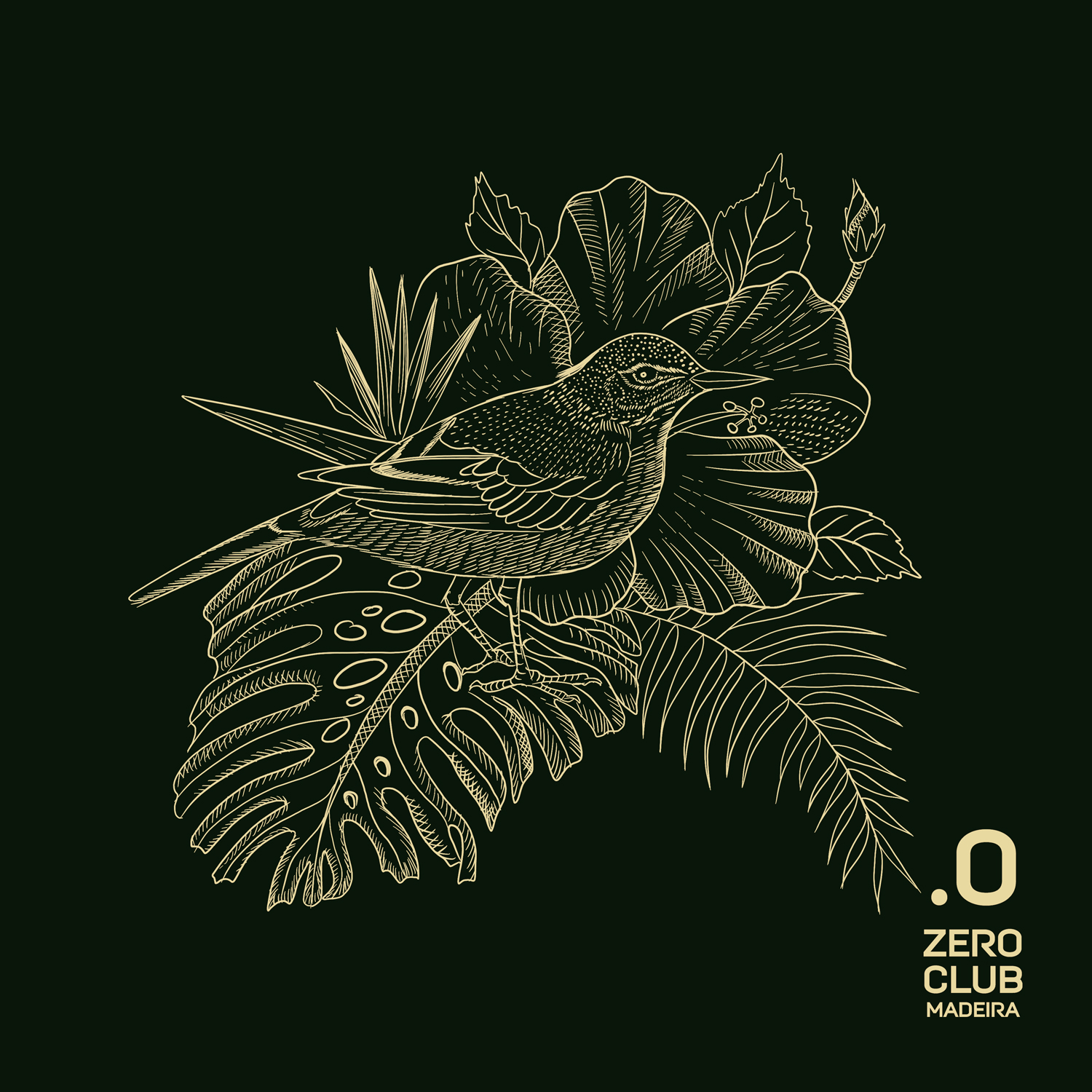 Zero Club Madeira botanical illustration